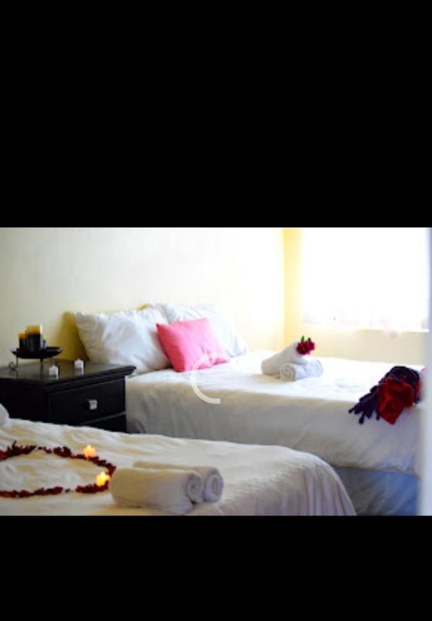 نيوكاسل Falcon Lodge المظهر الخارجي الصورة