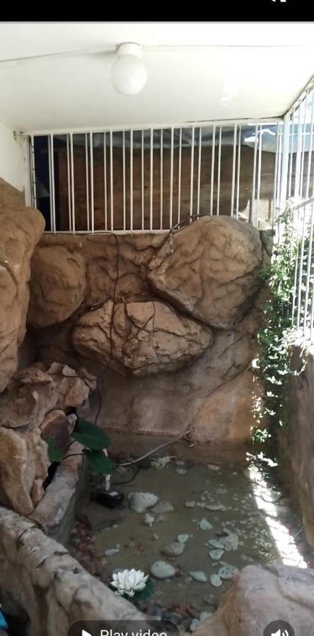 نيوكاسل Falcon Lodge المظهر الخارجي الصورة